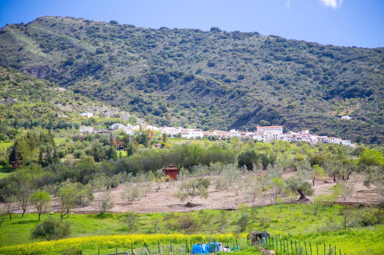 Hotel Rural Inz-Almaraz Jimera de Líbar Εξωτερικό φωτογραφία