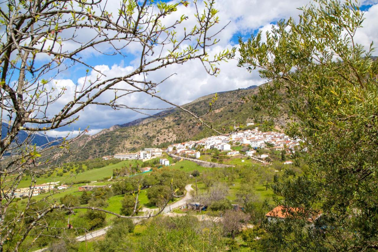 Hotel Rural Inz-Almaraz Jimera de Líbar Εξωτερικό φωτογραφία